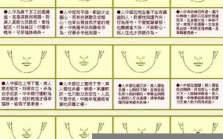 女人面相算命图解(女人面相秘法)