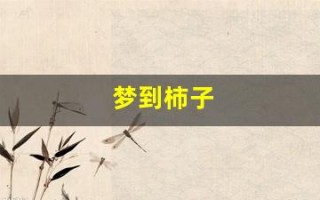 梦到柿子(孕妇梦到柿子)