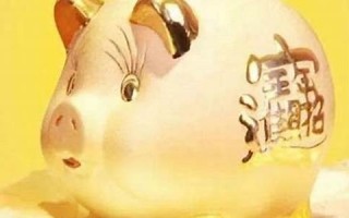 属猪人2021年下半年运势及运程(属猪人2021年下半年的运势)