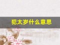 犯太岁什么意思(犯太岁的化解方法)