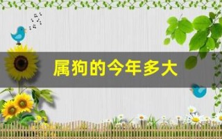 属狗的今年多大(属猴的今年多大)
