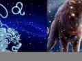 狮子座是几月(狮子座是几月几号)