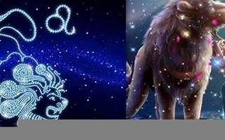 狮子座是几月(狮子座是几月到几月几日日)