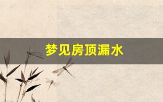 梦见房顶漏水(梦见房顶漏水是什么预兆解梦)