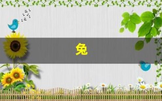 兔(兔年是哪几年生的)