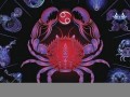 巨蟹座和什么星座最配(巨蟹座和什么星座最配做情侣)