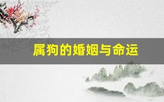 属狗的婚姻与命运(属狗的婚姻一生怎么样)