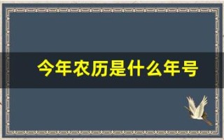今年农历是什么年号(今年农历是什么年号2024)