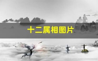 十二属相图片(十二属相图片年龄)