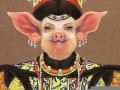 帝王将相猜一生肖(帝王将相猜一生肖或数字)