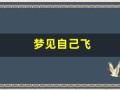 梦见自己飞(梦见自己飞来飞去)