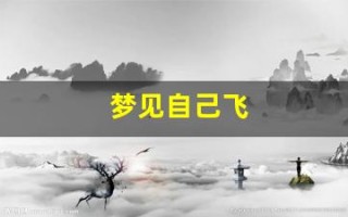 梦见自己飞(还可以控制)