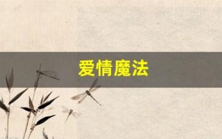 爱情魔法(爱情魔发师)