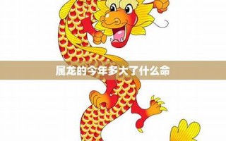 属龙今年多大(鼠今年多大) 属龙今年多大(鼠今年多大)
