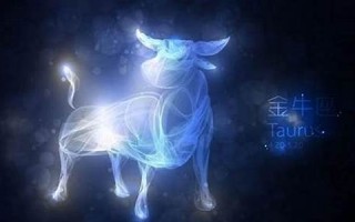 金牛座男生喜欢什么样的女生(金牛座男生喜欢什么样的女生性格)