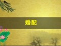 婚配(免费八字合婚)