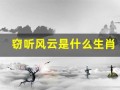 窃听风云是什么生肖(窃听风云指什么生肖)