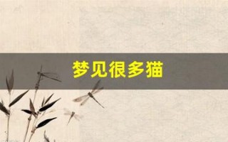 梦见很多猫(梦见很多猫是什么预兆 女性)