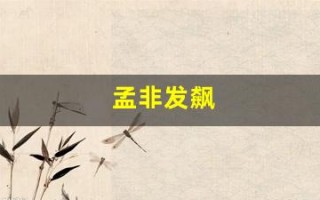 孟非发飙(孟非2020)