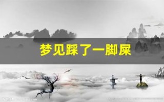梦见踩了一脚屎(女人梦见脚踩大便预示着什么)
