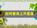 如何查询上升星座(如何查询上升星座查询)