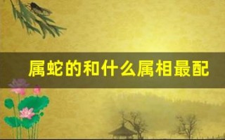 属蛇的和什么属相最配、相克(属蛇的和什么属相最配)