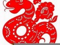 属蛇的今年运程(属蛇今年运程好吗)