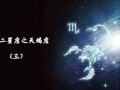 我是天蝎座(天蝎座的性格)