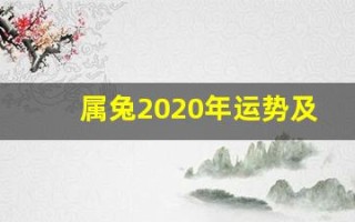 属兔2020年运势及运程(属兔人2020年运势及财运)