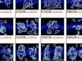 6月29日是什么星座(2月15日是什么星座)