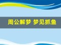 周公解梦 梦见抓鱼(周公解梦 梦见抓鱼 很多鱼)