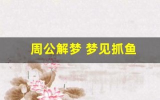周公解梦 梦见抓鱼(周公解梦 梦见抓鱼抓到死鱼)
