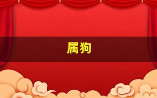 属狗(属狗今日运势)