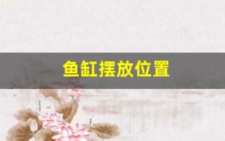 鱼缸摆放位置(客厅鱼缸摆放什么位置最佳)