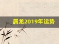 属龙2019年运势(属龙2019年的运势)