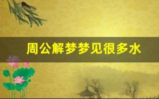 周公解梦梦见很多水(周公解梦梦见很多水是什么意思)