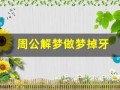 周公解梦做梦掉牙(周公解梦做梦掉牙齿是什么预兆)