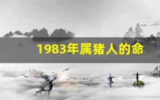 1983年属猪人的命运(1983年属猪人的命运与婚姻)