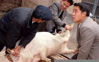 梦见杀猪(梦见杀猪没杀死是什么预兆)