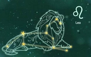 狮子座(狮子座是水象还是火象)