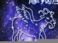 魔羯座男人(魔羯座男人喜欢白羊座女人)