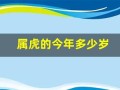 属虎的今年多少岁(属兔的今年多少岁)