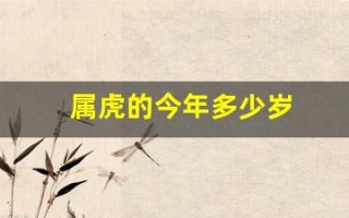 属虎的今年多少岁(属兔的今年多少岁)