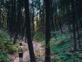 梦见迷路(梦见迷路了一直在找路)