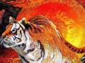 2022年属虎要出大事(22022年属虎)