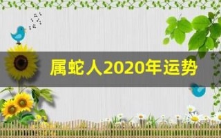 属蛇人2020年运势(属蛇人2020年的运势)