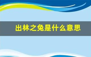 出林之兔是什么意思(出林龙是什么生肖)