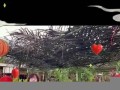2月11日(2月11日阴历是多少)
