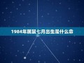 1984年属什么(1984年属什么生肖)