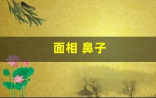 面相 鼻子(面相 鼻子歪)